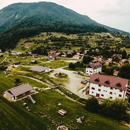 Pensiunea 3 Brazi Zărneşti Extérieur photo