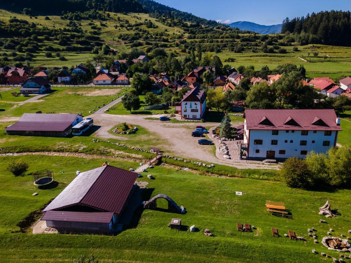 Pensiunea 3 Brazi Zărneşti Extérieur photo