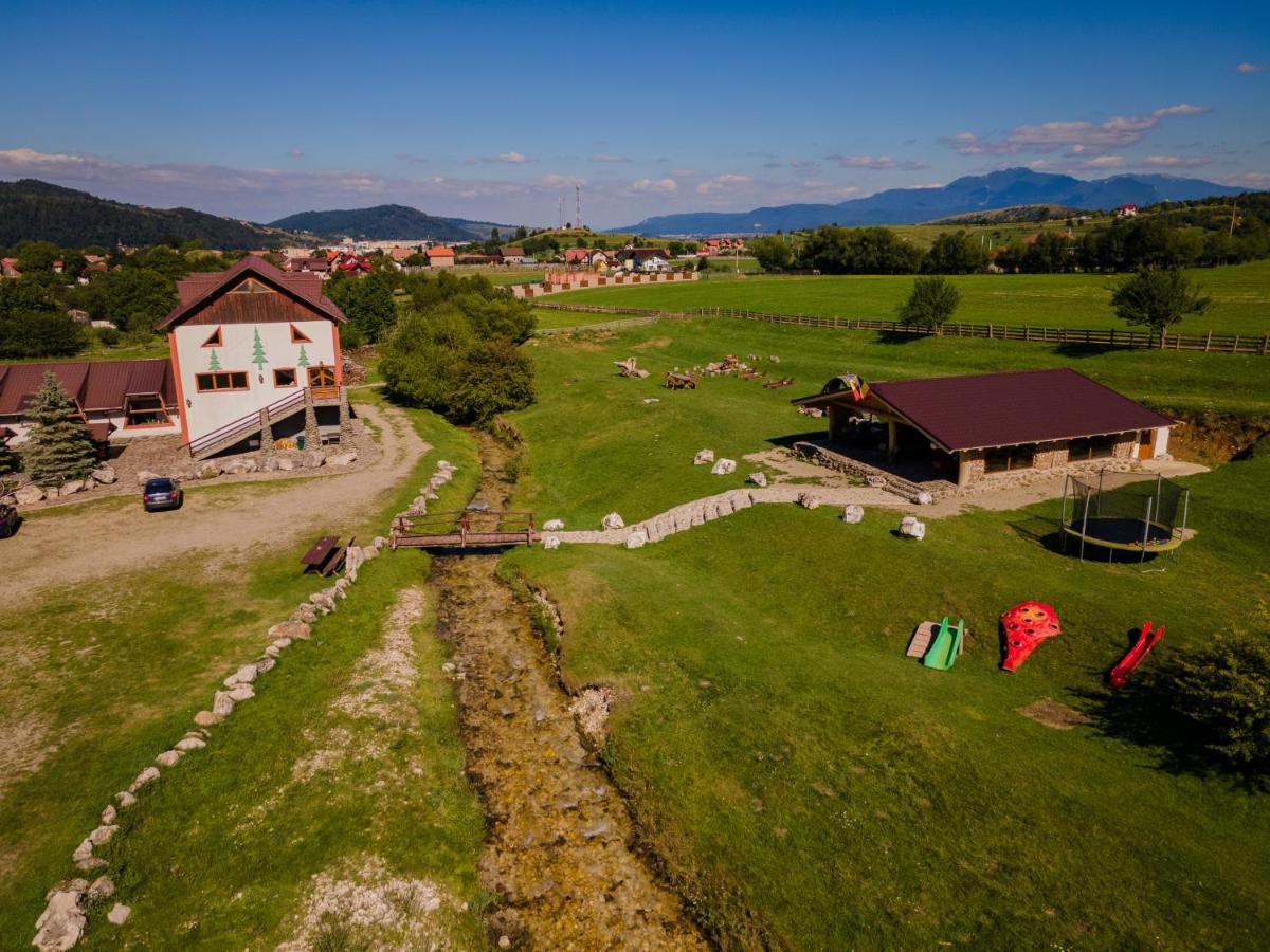 Pensiunea 3 Brazi Zărneşti Extérieur photo