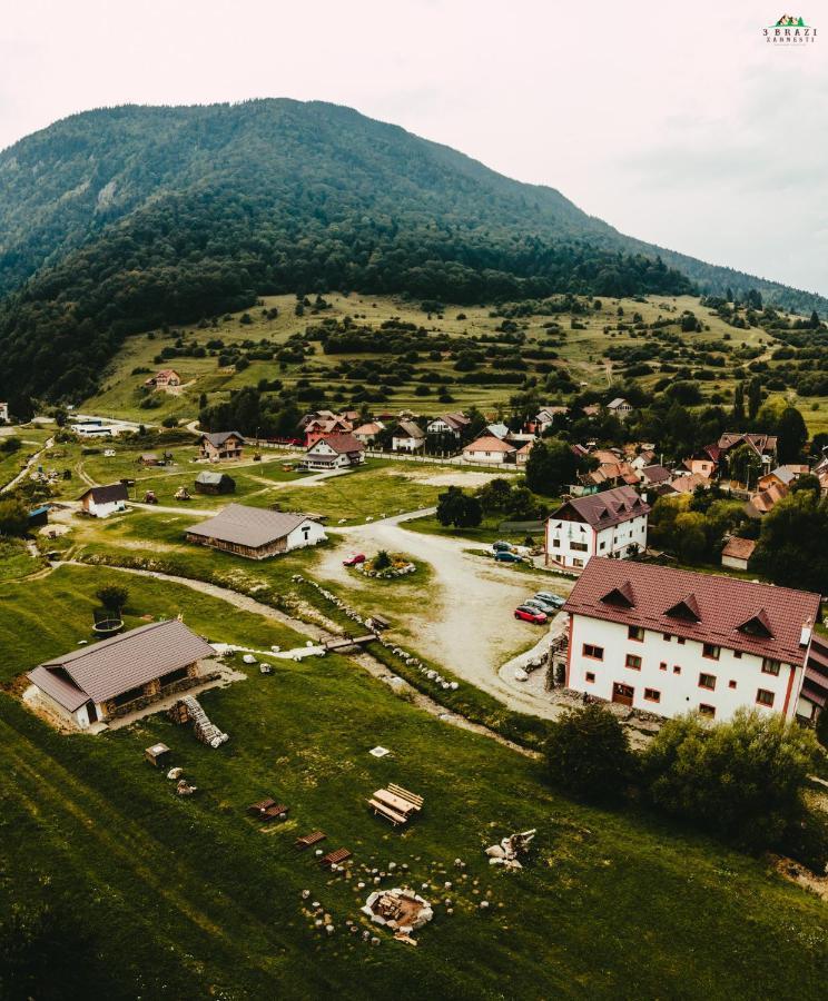Pensiunea 3 Brazi Zărneşti Extérieur photo