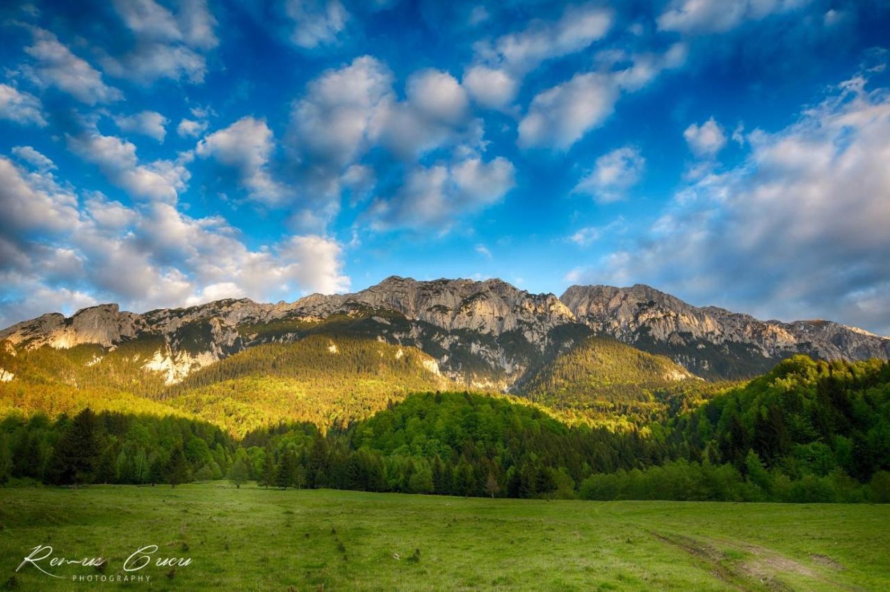 Pensiunea 3 Brazi Zărneşti Extérieur photo