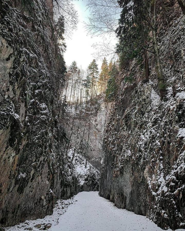 Pensiunea 3 Brazi Zărneşti Extérieur photo