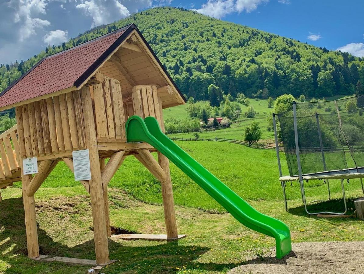 Pensiunea 3 Brazi Zărneşti Extérieur photo