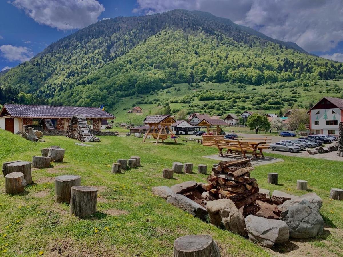 Pensiunea 3 Brazi Zărneşti Extérieur photo