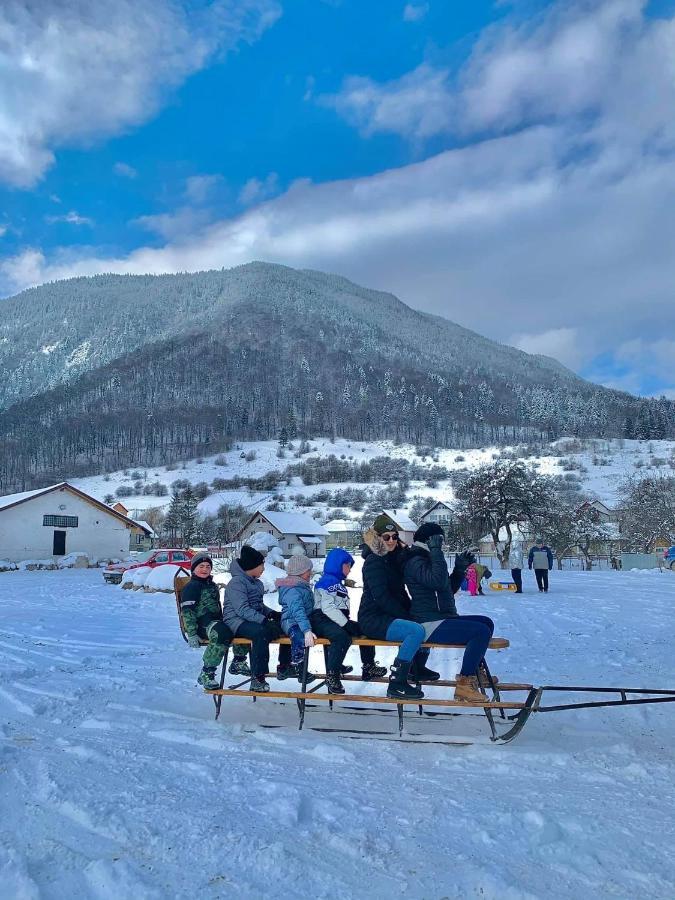 Pensiunea 3 Brazi Zărneşti Extérieur photo