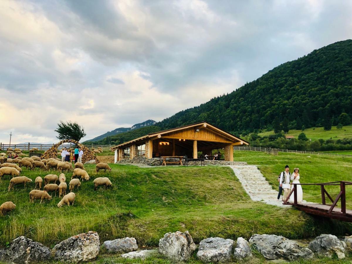 Pensiunea 3 Brazi Zărneşti Extérieur photo