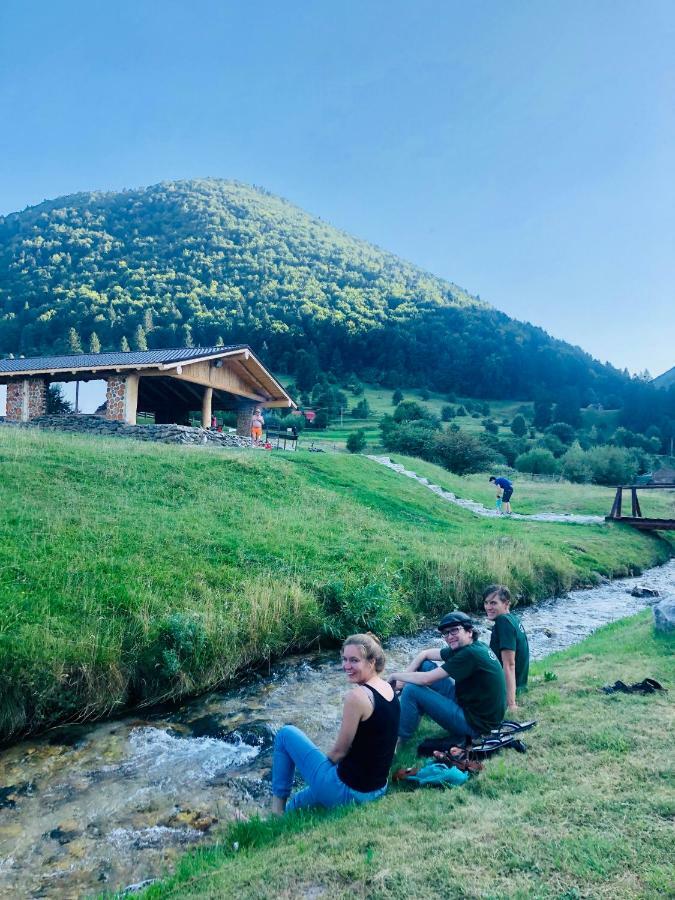 Pensiunea 3 Brazi Zărneşti Extérieur photo