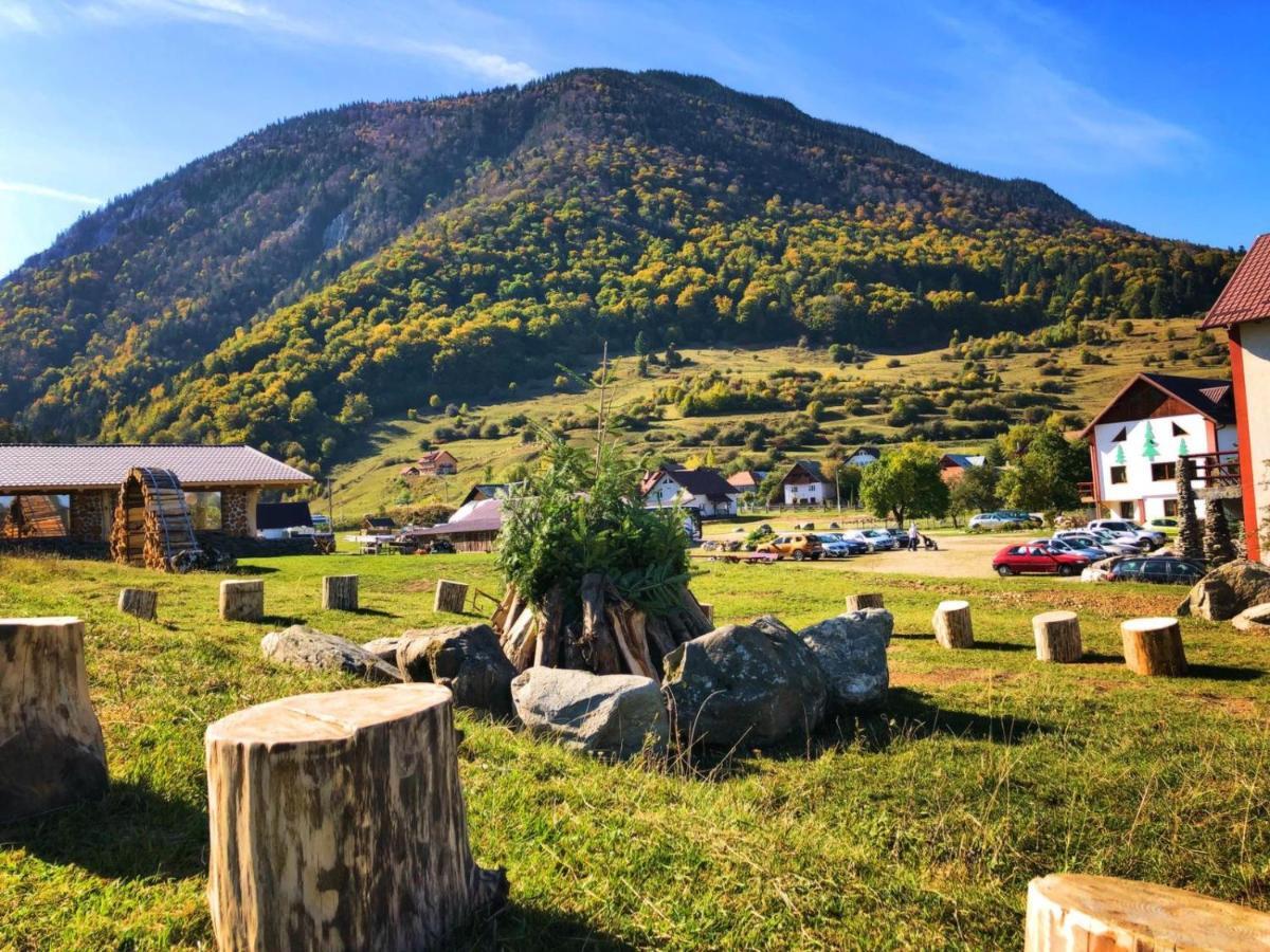 Pensiunea 3 Brazi Zărneşti Extérieur photo