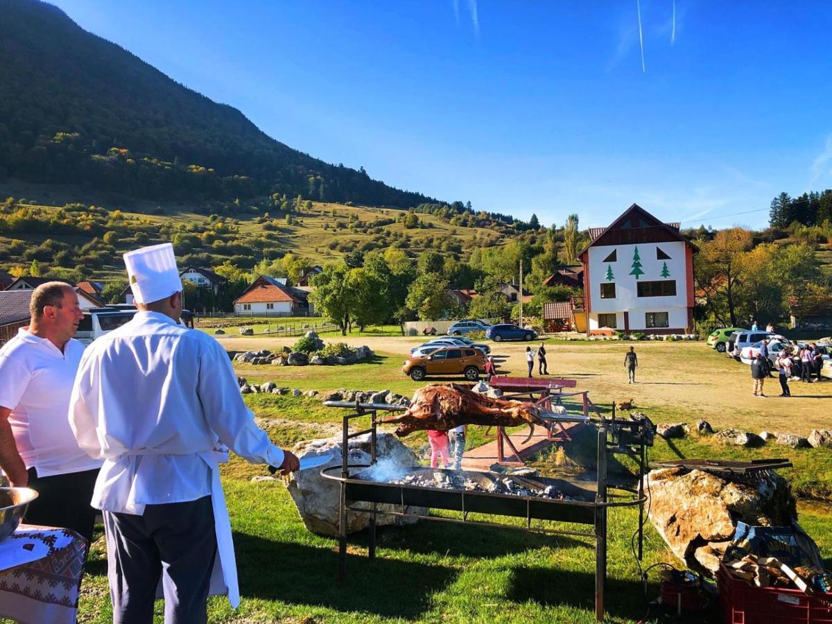 Pensiunea 3 Brazi Zărneşti Extérieur photo