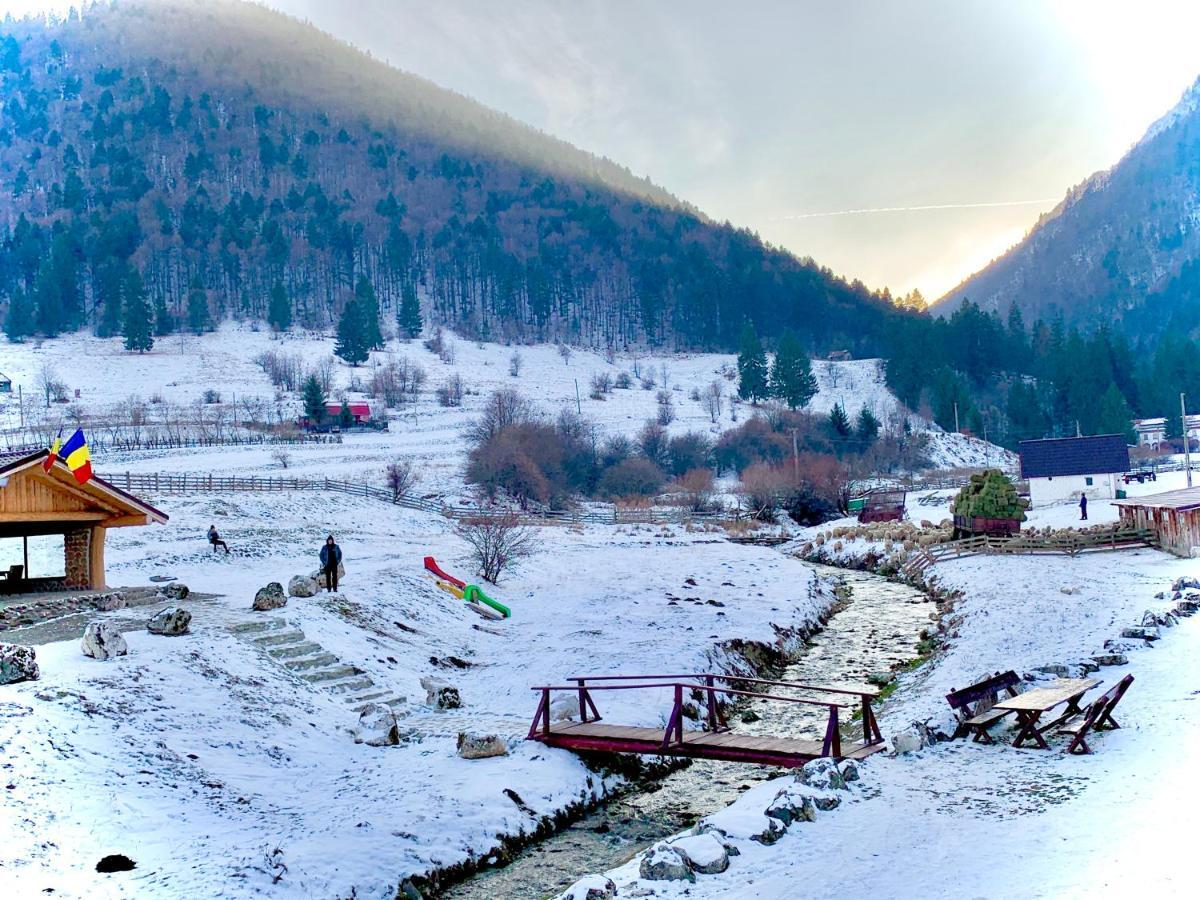 Pensiunea 3 Brazi Zărneşti Extérieur photo